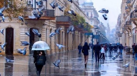 Sabah külək əsəcək, yağış yağacaq