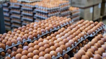Azərbaycan ilin əvvəlindən yumurta ixrac etməyib, göndərişlər apreldən bərpa oluna bilər
