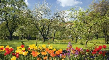 Azərbaycana yaz gəldi