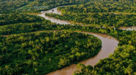 Planetin &ldquo;ağciyərləri&rdquo; təhlükə altındadır - beynəxalq meşələr günü...