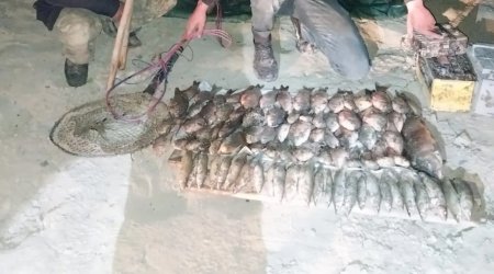 
Kür çayında tok aparatı ilə qanunsuz balıq ovlayan 3 nəfər saxlanılıb
