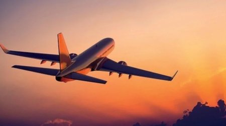 Delta приостановила спецуслуги для конгрессменов США из-за шатдауна