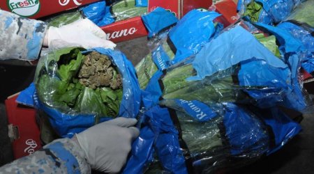 &ldquo;Biləsuvar&rdquo; gömrük postunda 56 kiloqramdan artıq narkotik vasitə aşkar edilib