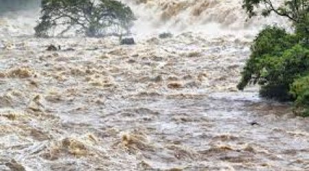 ADSEA: В большинстве рек Азербайджана зафиксирован подъем уровня воды после ливней