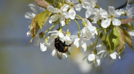 Sabahın hava proqnozu