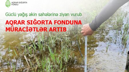 Güclü yağış və daşqınlar minlərlə hektar əkin sahəsinə ziyan vurub