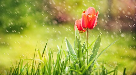 Faktiki hava açıqlanıb