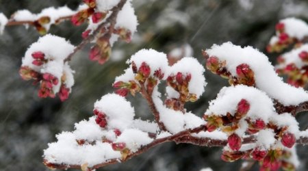 Dağlıq ərazilərə qar yağır - FAKTİKİ HAVA - YENİLƏNİB