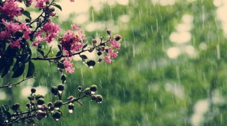 Faktiki hava açıqlanıb