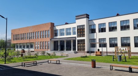 Niyə biz hələ də diplomun arxasınca qaçırıq?