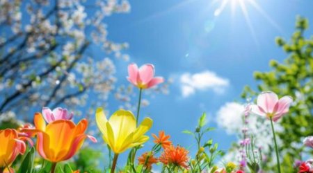 Sabahın hava proqnozu açıqlanıb