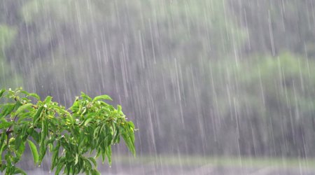 
Sabah bəzi yerlərdə yağış və dağlıq ərazilərdə qar yağacaq -XƏBƏRDARLIQ