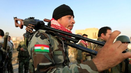 Турция не допустила участие курдов в войне