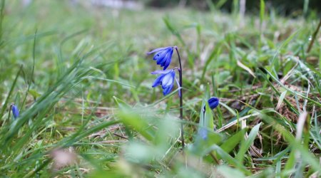 Sabahın hava proqnozu açıqlanıb