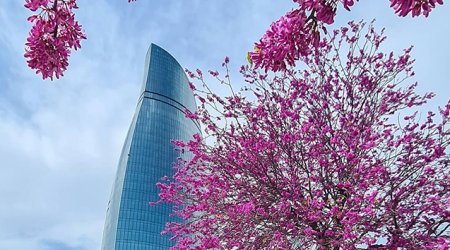 Sabahın hava proqnozu