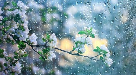 Bəzi rayonlara yağış, Şahdağa qar yağır - FAKTİKİ HAVA