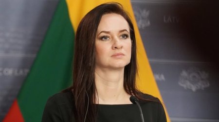 Вильнюс призвал ЕС усилить экономические связи с Азербайджаном