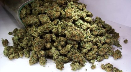 Şirvanda keçmiş məhkumda 8 kiloqrama yaxın marixuana aşkarlanıb