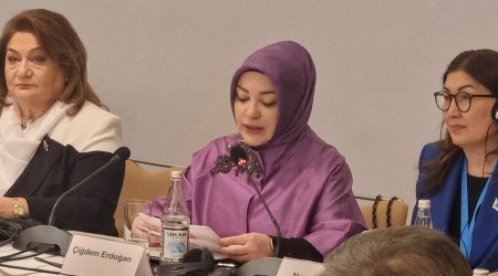 Türkiyədə zorakılıq görən qadınlar proqram vasitəsilə polisə məlumat verə bilir - deputat