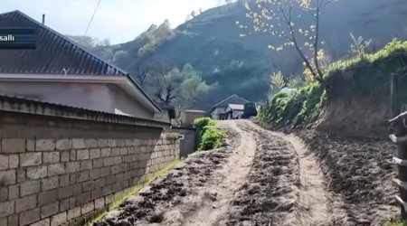 Masallının Köhnə Zuvand kəndində qaz, işıq, yol və internet problemi - Video