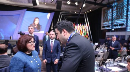 Azerbaijan, Armenia parliamentary speakers hold brief talks in Istanbul