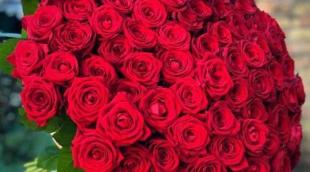 Rose imports from Netherlands recorded as Armenia in trade data &mdash; customs