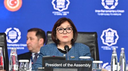 Важные встречи и выступления Сахибы Гафаровой в Стамбуле