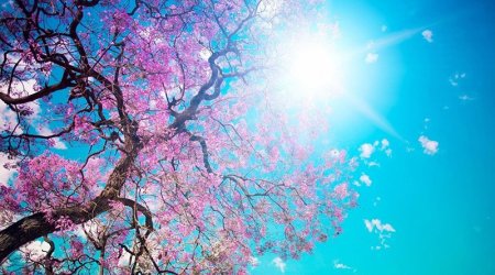 Sabahın hava proqnozu