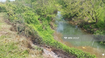 Lənkəranda torpaq sürüşməsi olub