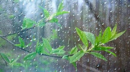 Bakıda və Abşeron yarımadasında yağış yağacaq, şimşək çaxacaq - PROQNOZ