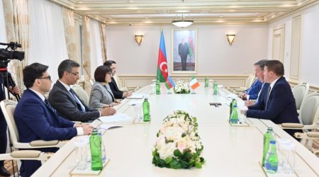 İrlandiya-Azərbaycan parlamentlərarası dostluq qrupunun üzvləri ilə görüş olub