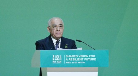 Azərbaycan iyunda Ümumdünya Ətraf Mühit Gününə ev sahibliyi edəcək