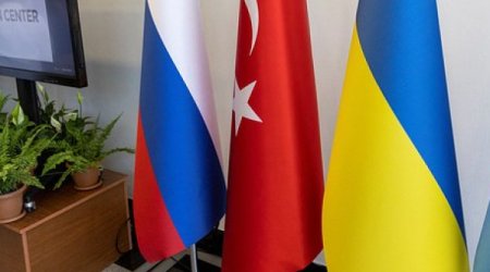 Турция пытается навести мосты между Россией и Украиной