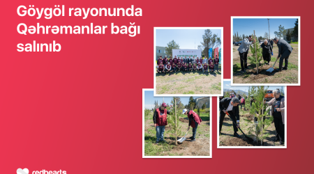 &ldquo;Qəhrəmanlar bağı&rdquo; initiative implemented in Goygol