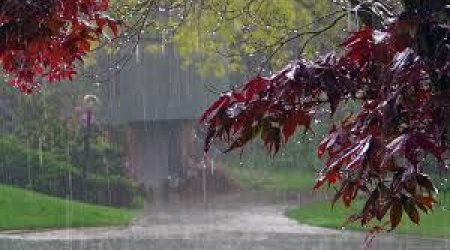 Sabah qısamüddətli yağış gözlənilir - Proqnoz