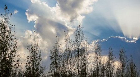 Ölkə ərazisinin bəzi yerlərində küləkli hava şəraiti davam edir