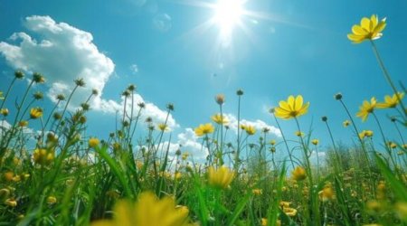 Sabah 24 dərəcə isti olacaq