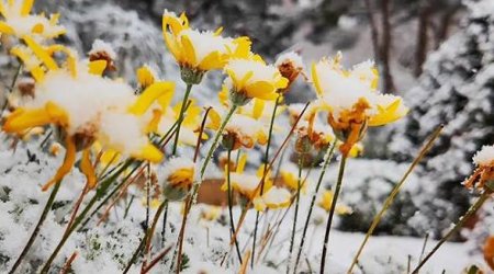 Faktiki hava açıqlanıb