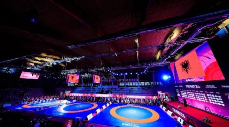 Азербайджанские борцы завоевали 13 медалей на чемпионате Европы