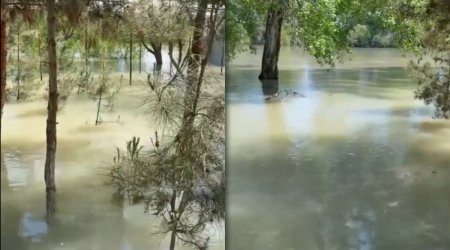 Kür çayında su səviyyəsi enir, bəzi ərazilərdə subasma qeydə alınıb