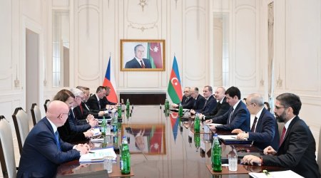 Əliyevin Çexiyanın Baş naziri ilə təkbətək görüşü keçirilib - Yenilənir