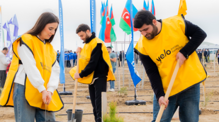 Yelo Bank-dan 1 milyon ağac hədəfinə parlaq dəstək!