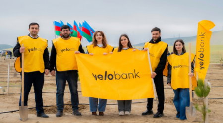 
Yelo Bank поддерживает цель в 1 000 000 деревьев!