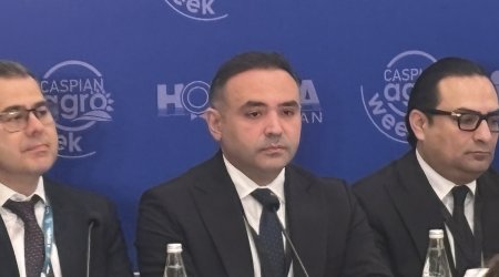 &ldquo;Caspian Agro Week&rdquo; sərgisində xarici ölkələrin sayında təxminən 50 faiz artım var- Anar Cəfərov
