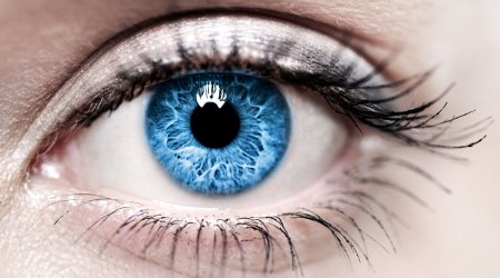 Azerbaijan opens first eye bank to support corneal transplants