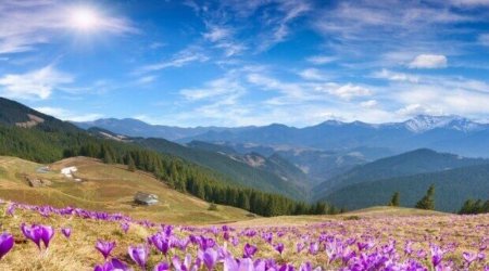 

Sabahın hava proqnozu açıqlanıb
