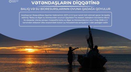 
Azərbaycanda bu gündən balıq ovu qadağan edilib
