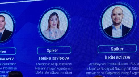 Seyidova: Media sosial şəbəkələrin itirdiyi auditoriyanı geri qaytarmaq üçün yeni platformalara çevrilməlidir