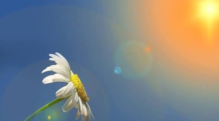 Apreldə Bakı və Abşeronda temperatur 21 gün normadan yuxarı olub - RƏSMİ