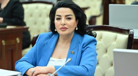 Fatma Yıldırım: Yaşıllıqlarla bağlı dəyişikliklər fermerlərin fəaliyyətini asanlaşdıracaq